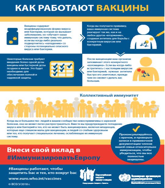 КАК РАБОТАЮТ ВАКЦИНЫ