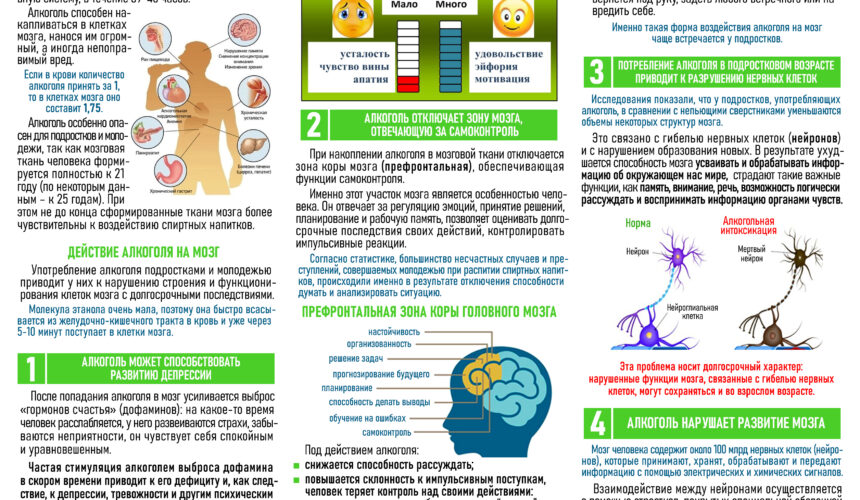 АЛКОГОЛЬ И ЗДОРОВЬЕ