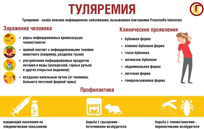 ПАМЯТКА ПО ТУЛЯРЕМИИ 2026