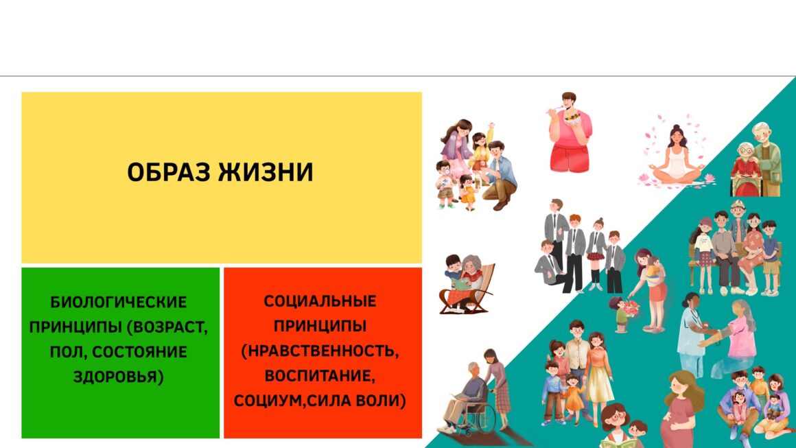 Информационные технологии в реализации проекта «Пружаны — здоровый город»