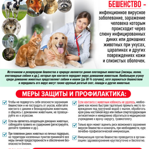 Осторожно, бешенство!!!